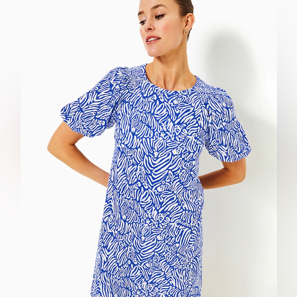 Rosen dress Lilly Pulitzer xl